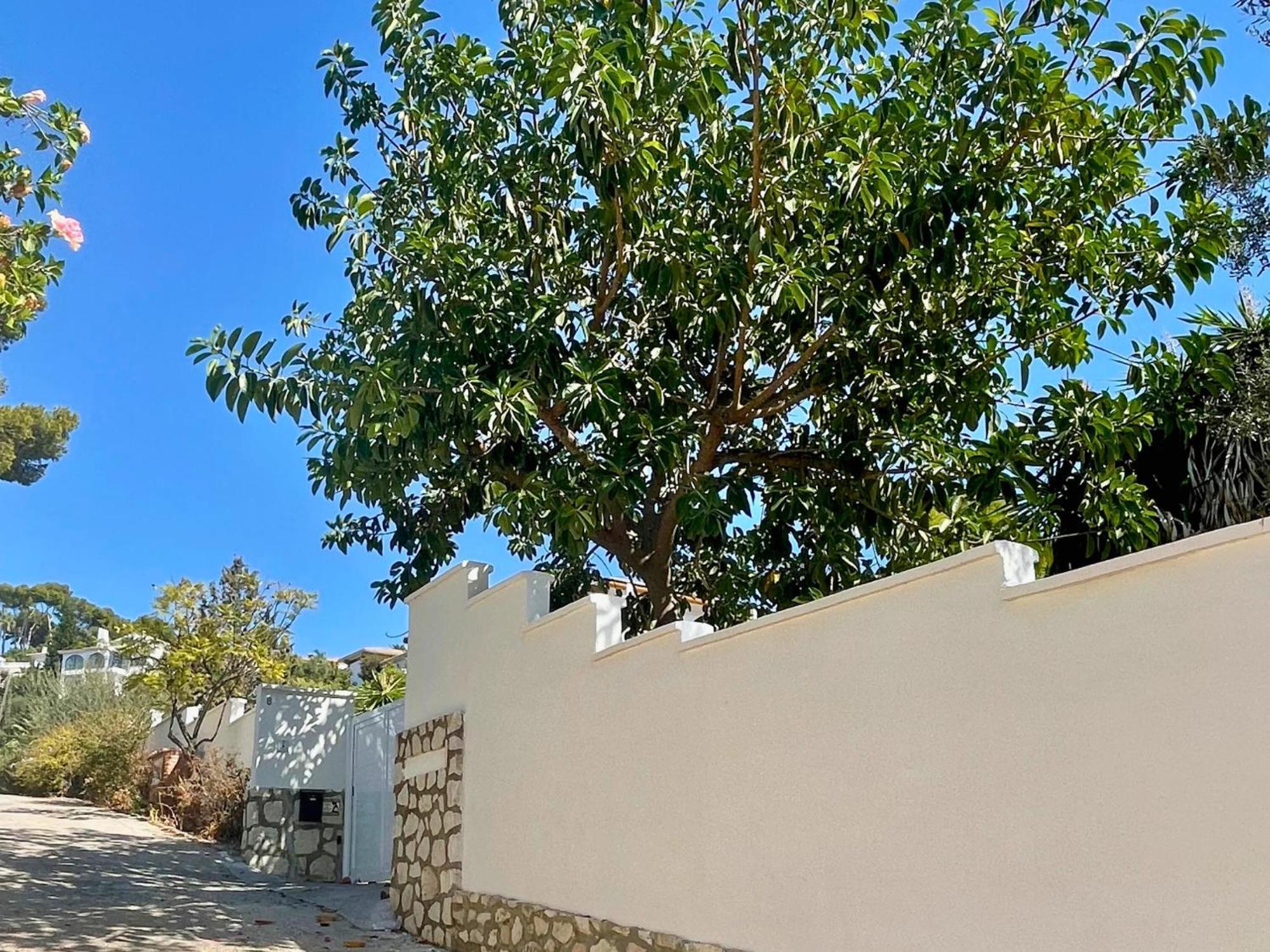 Modern Private Suite At Fantastic Villa Near Fuengirola 米哈斯 外观 照片